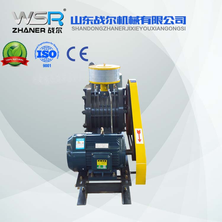 實驗室污水用回轉(zhuǎn)風機