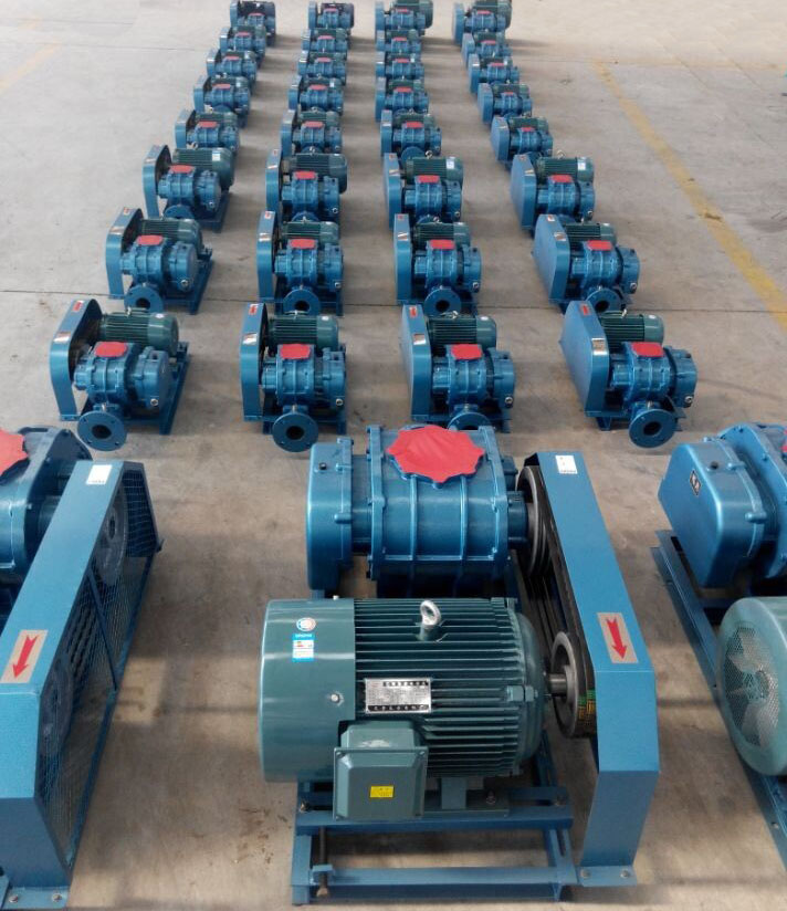 羅茨風(fēng)機WSR-175